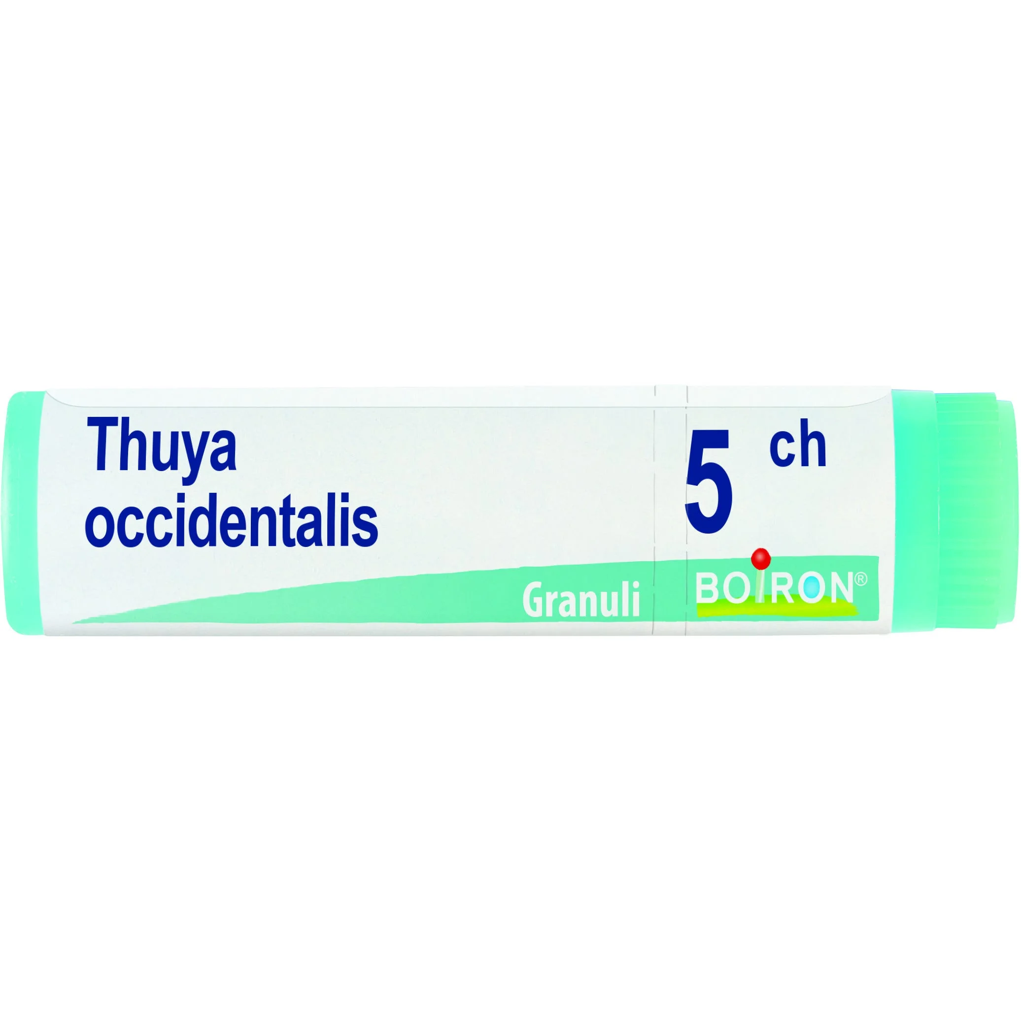 Thuya Occident 5Ch Globuli 