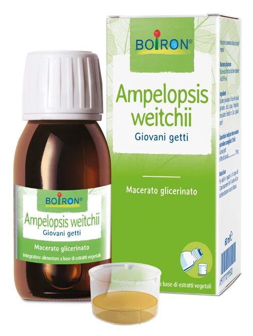 AMPELOPSIS WEI BOI MG 60ML INT