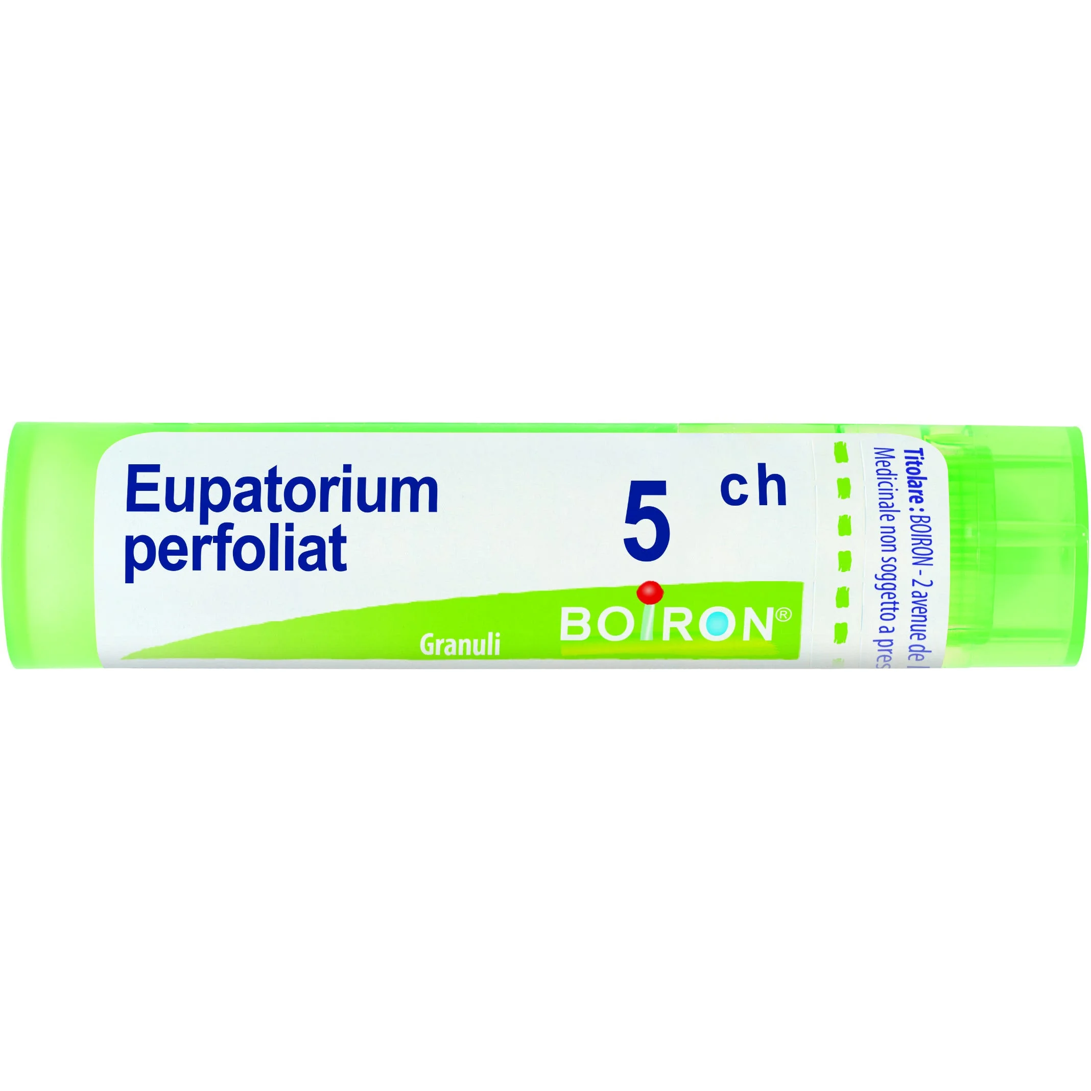 EUPATORIUM PERFOLIATUM*5CH80gr