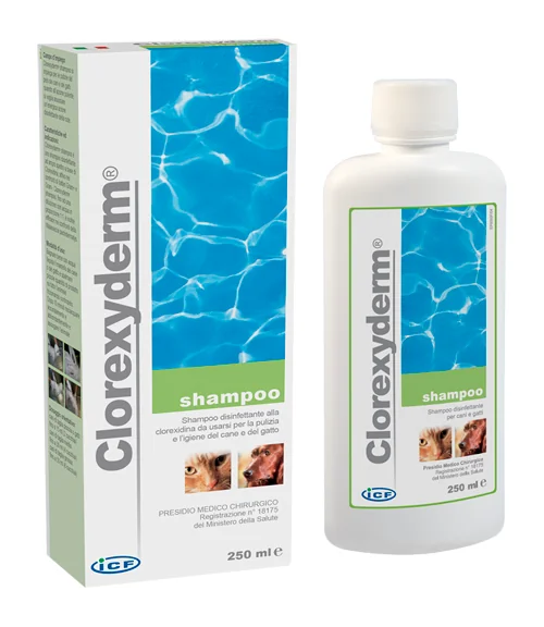 CLOREXYDERM SHAMPOO 250 ML