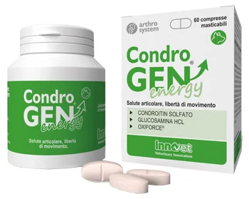 CONDROGEN ENERGY 60 COMPRESSE MASTIC