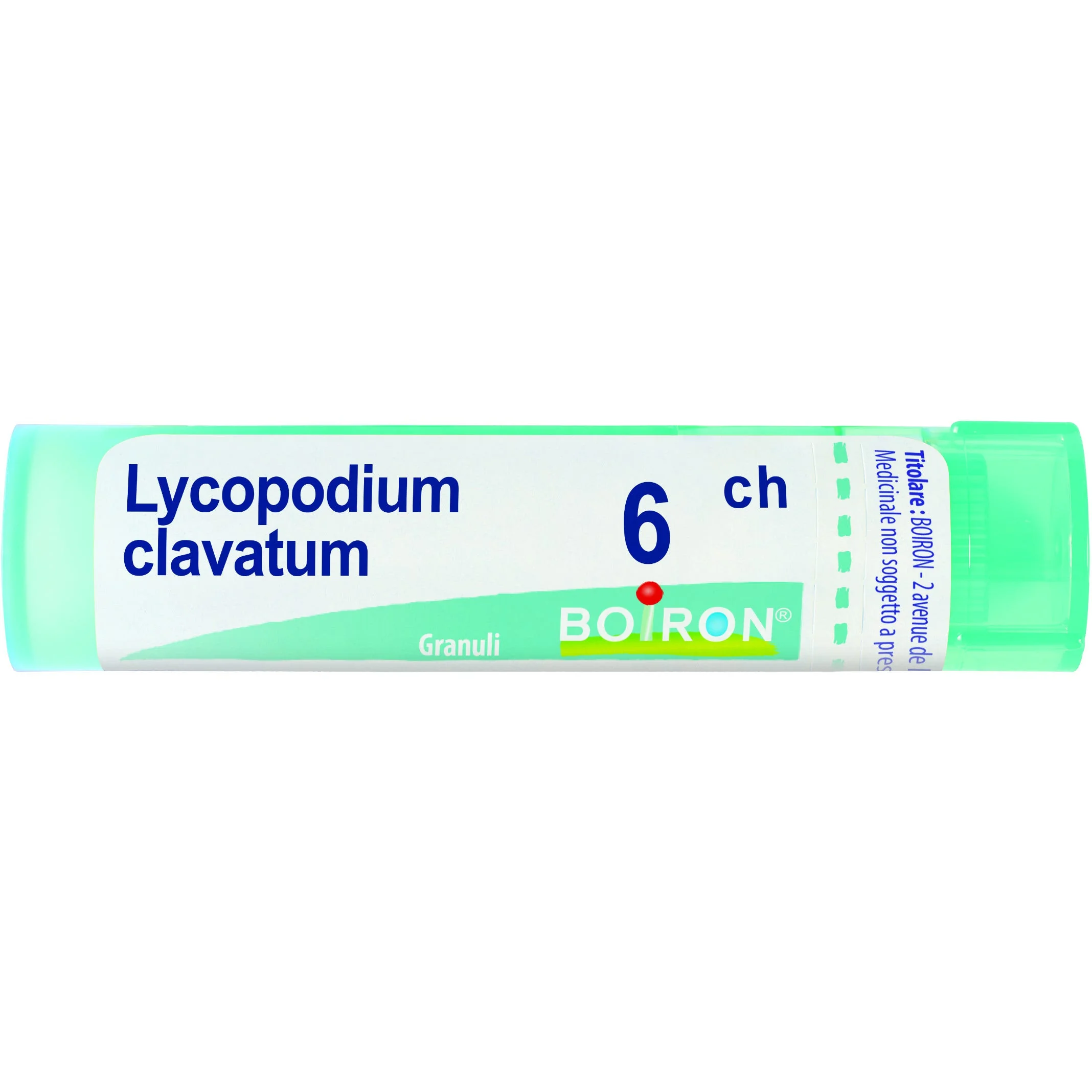 Lycopodium Clavatum 6 Ch 80 Gr 