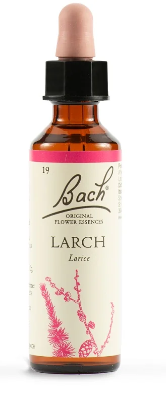 SCHWABE FIORI DI BACH LARCH 19 GOCCE 20 ML