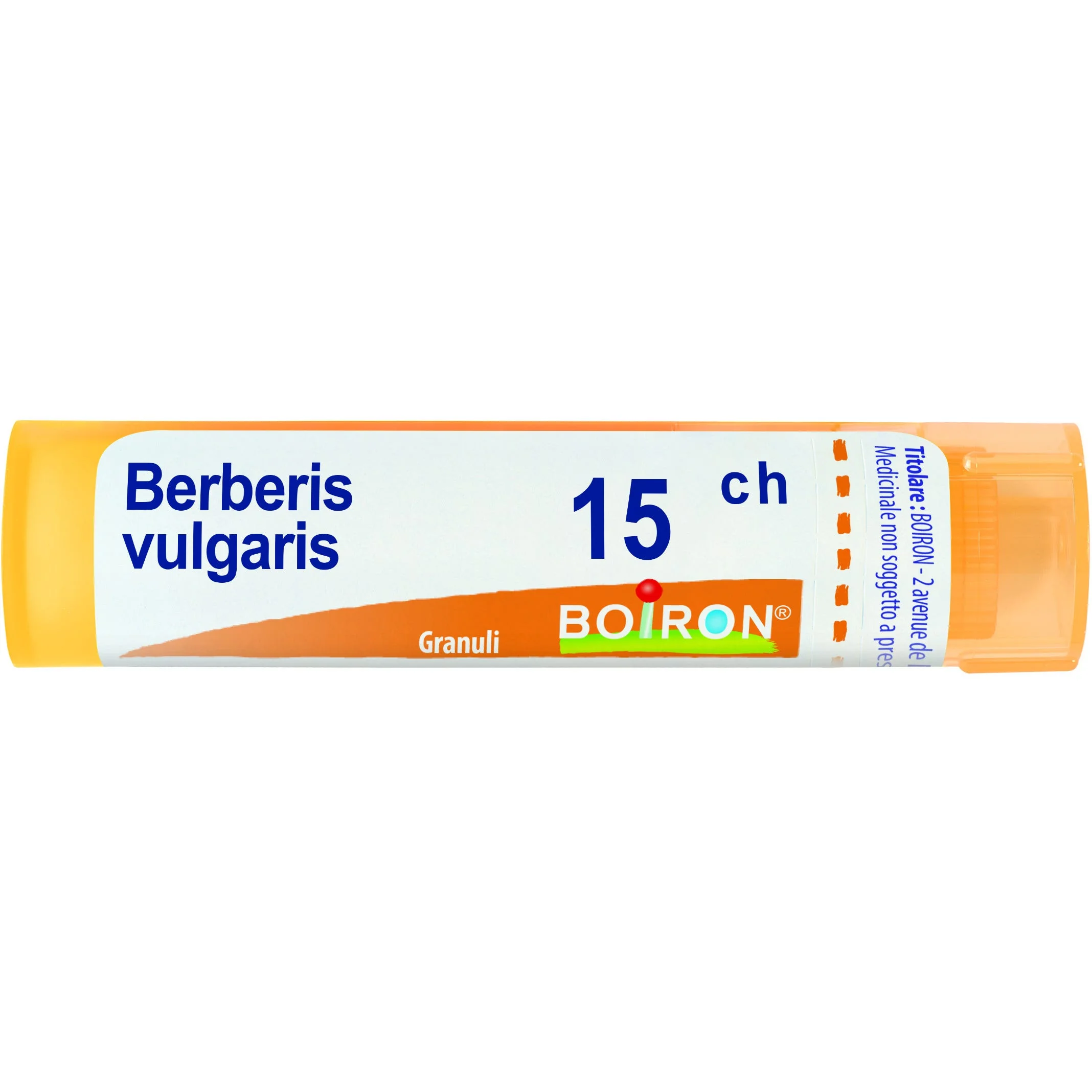 BERBERIS VULGARIS*15CH 80GR 4G