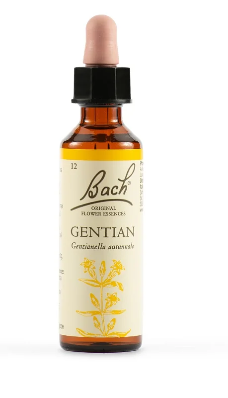 SCHWABE FIORI DI BACH 12 GENTIAN GOCCE 20 ML