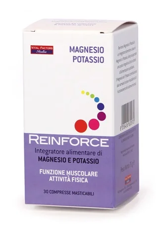 REINFORCE MAGNESIO+K 30CPR