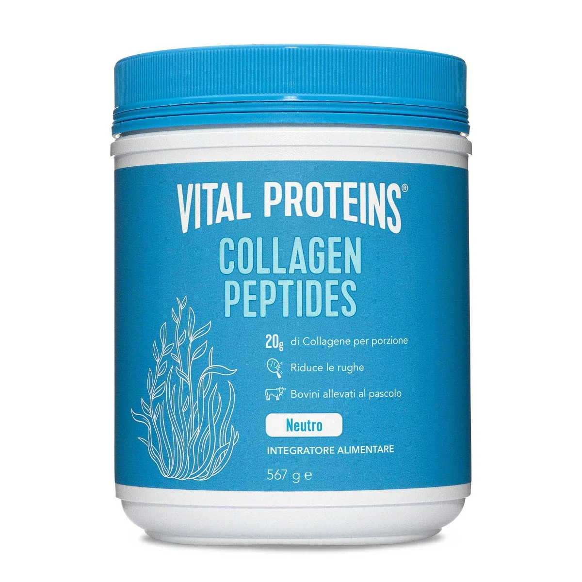 VITAL PROTEINS COLLAGEN PEPTIDES 567 G