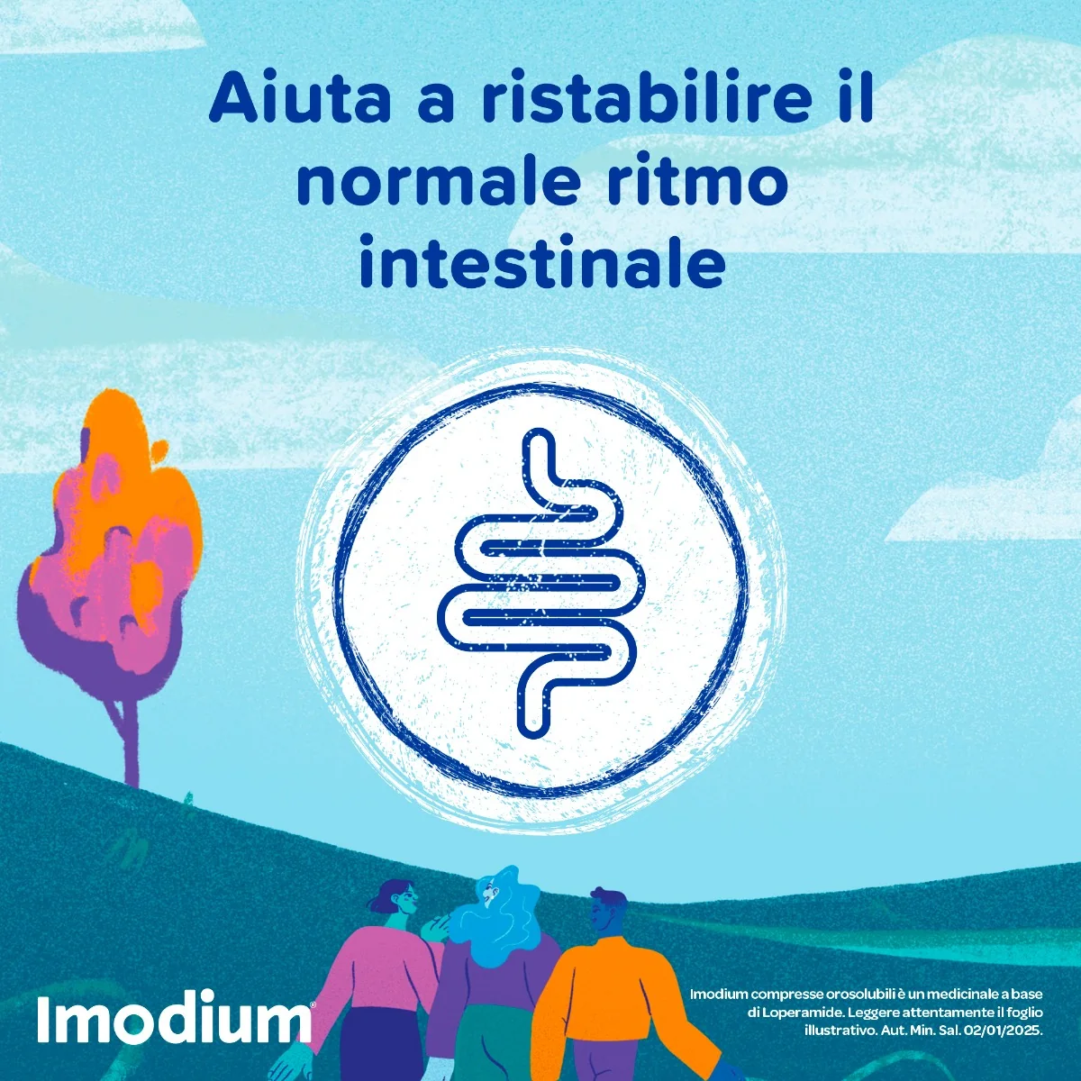 Imodium Diarrea Acuta 12 Compresse Orosolubili Per Intestino