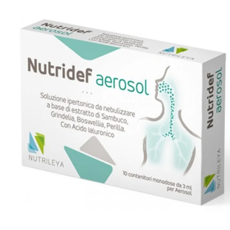 NUTRIDEF AEROSOL 10 FIALE 3 ML