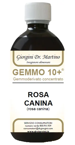 ROSA CANINA LIQ ANALCO GEMM1+