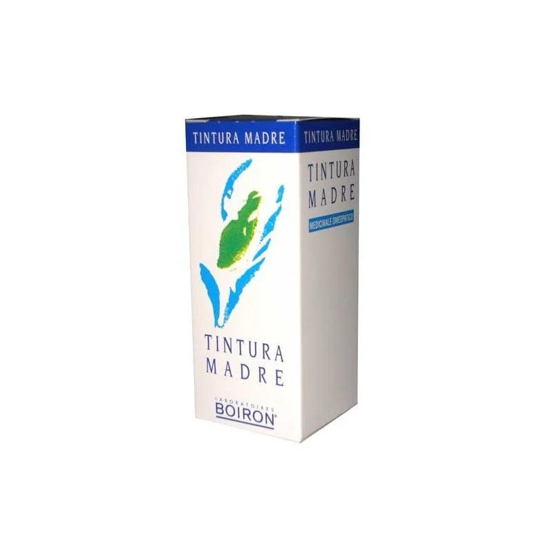 Ginkgo Biloba Tintura Madre 30 ml 