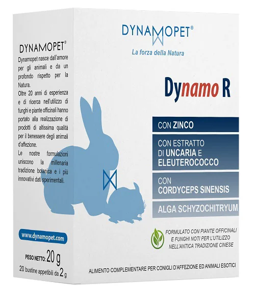 DYNAMO R BUSTE 20 2G