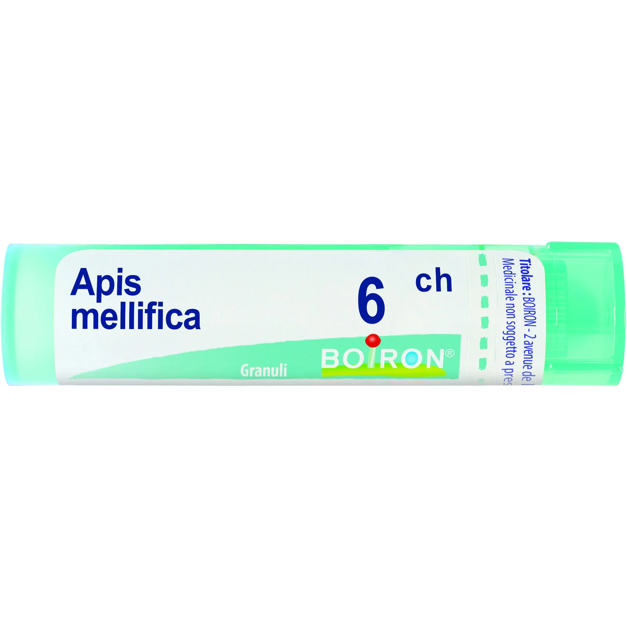 APIS MELLIFICA 6CH gr