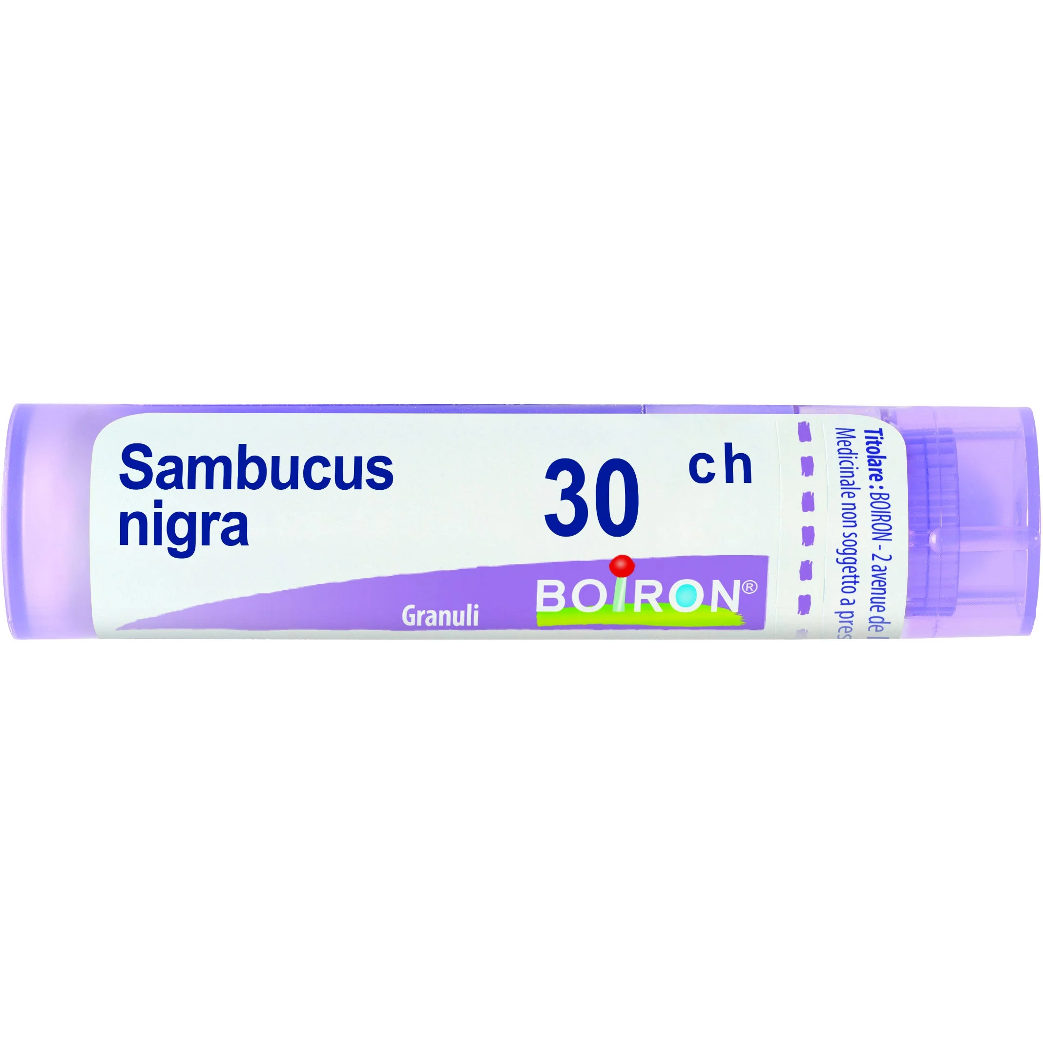 SAMBUCUS NIGRA*30CH 80GR 4G