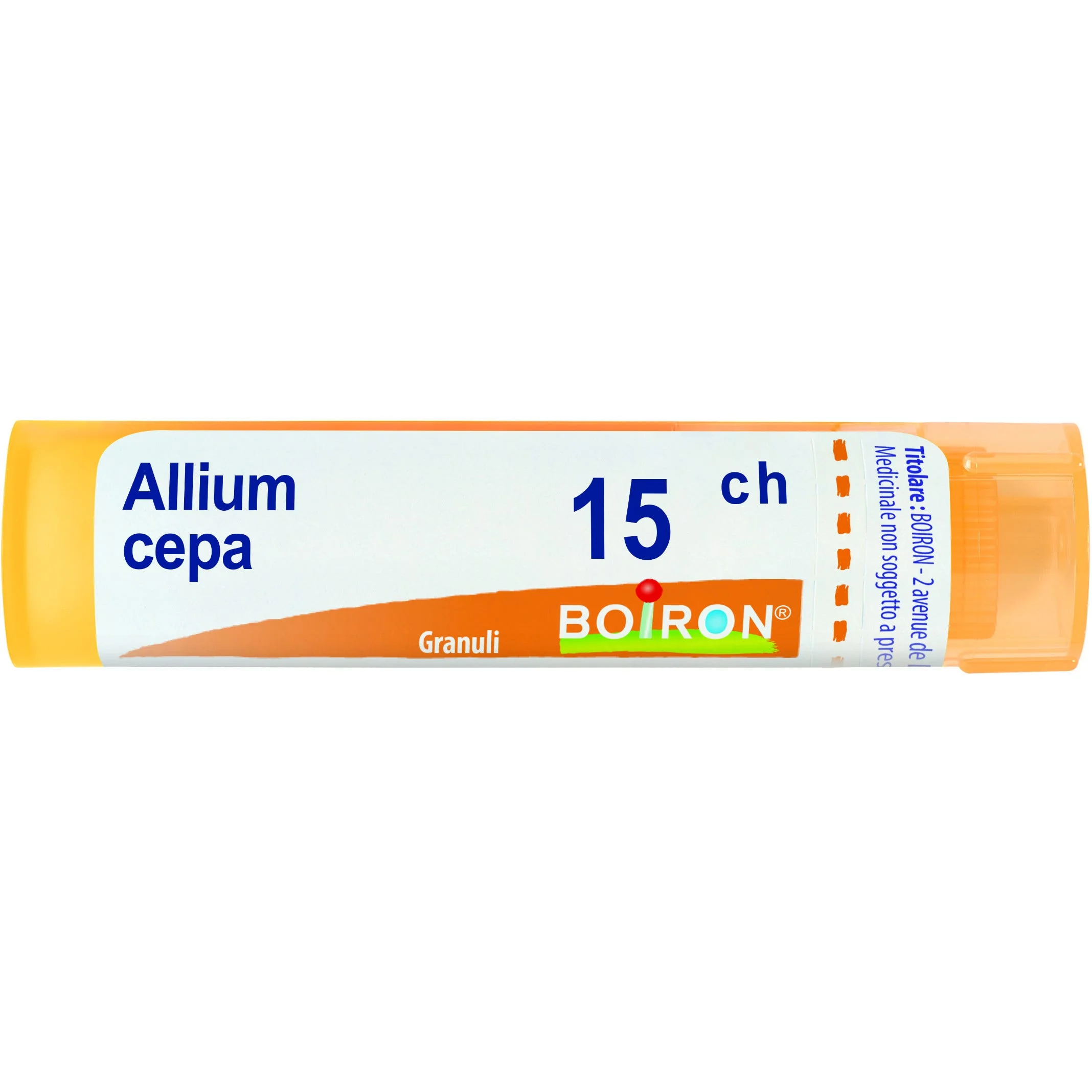 ALLIUM CEPA*15CH 80gr 4G