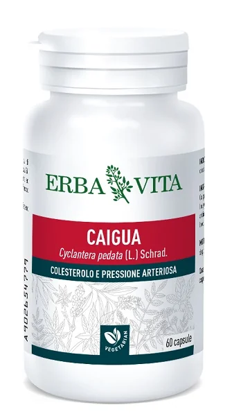 CAIGUA 60CPS 400MG