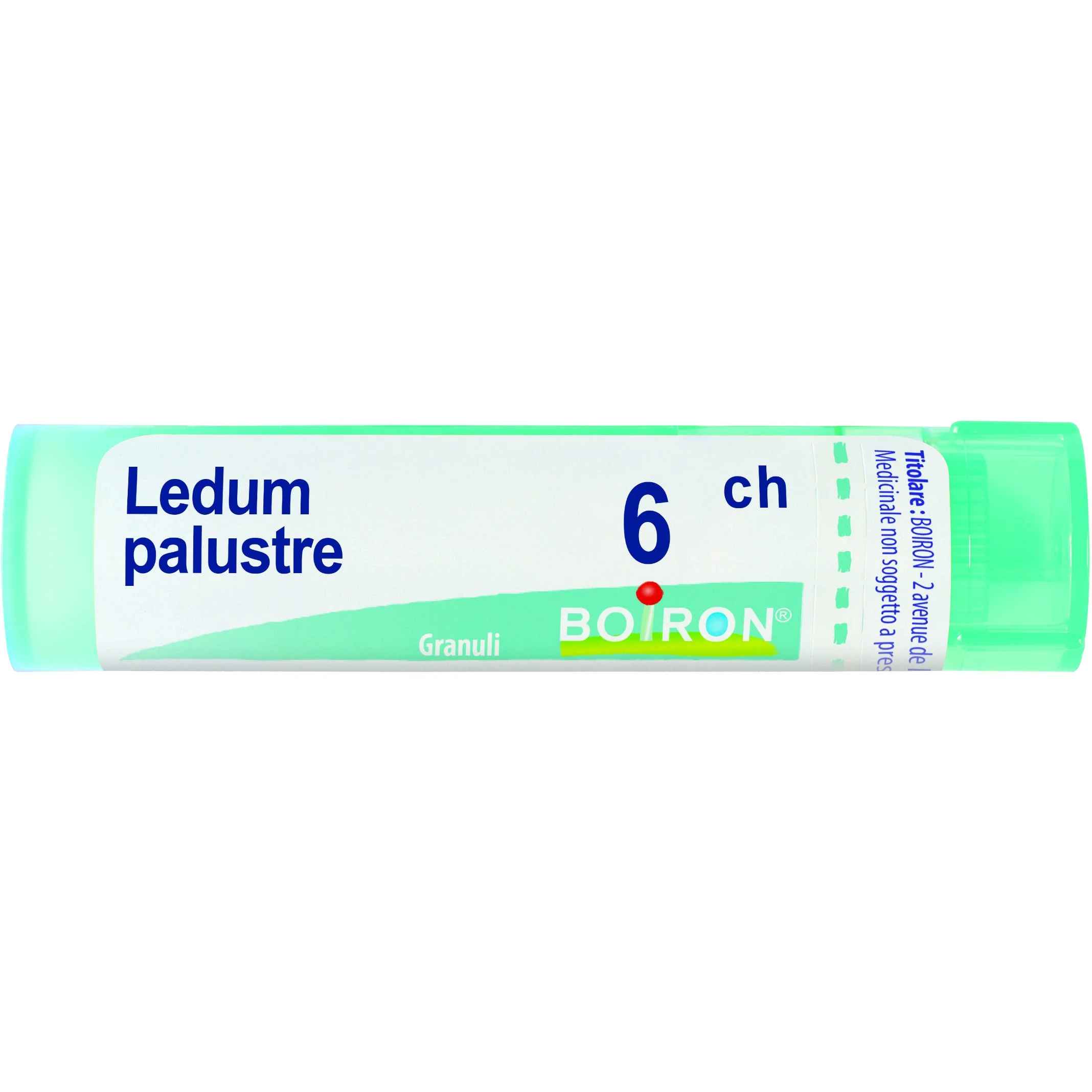 BOIRON LEDUM PALUSTRE 6CH gr