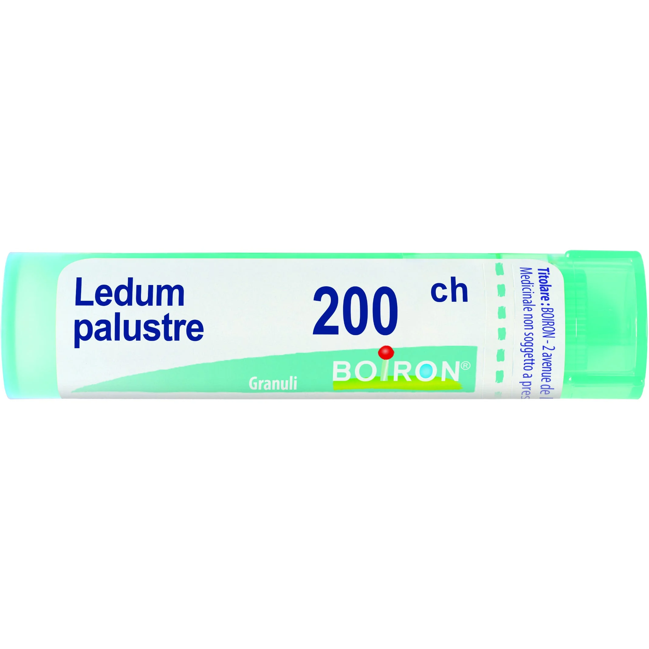 LEDUM PALUSTRE 200CH gr