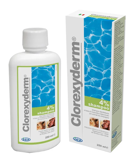 CLOREXYDERM SH 4% 250 ML