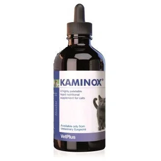 KAMINOX SCIROPPO 60 ML