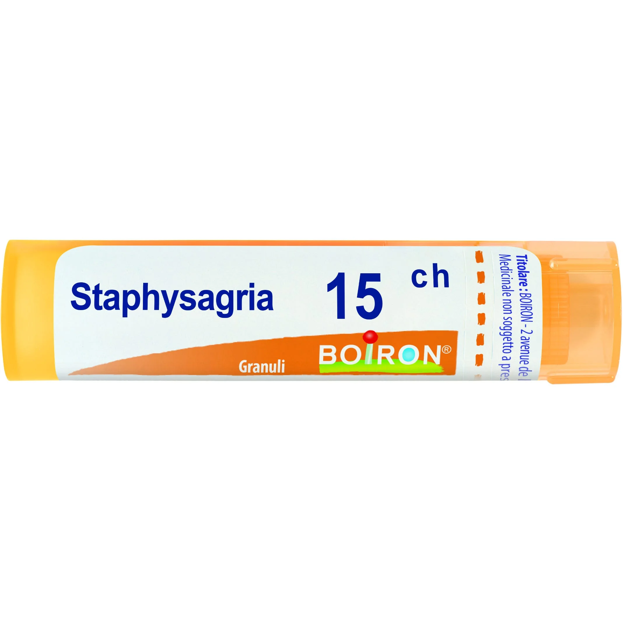 STAPHYSAGRIA*15CH 80GR 4G