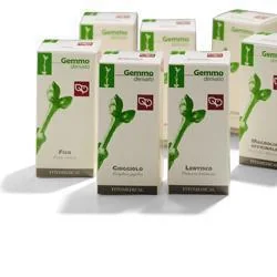 BETULLA VERRUCOSA SEMI 50 ML MG