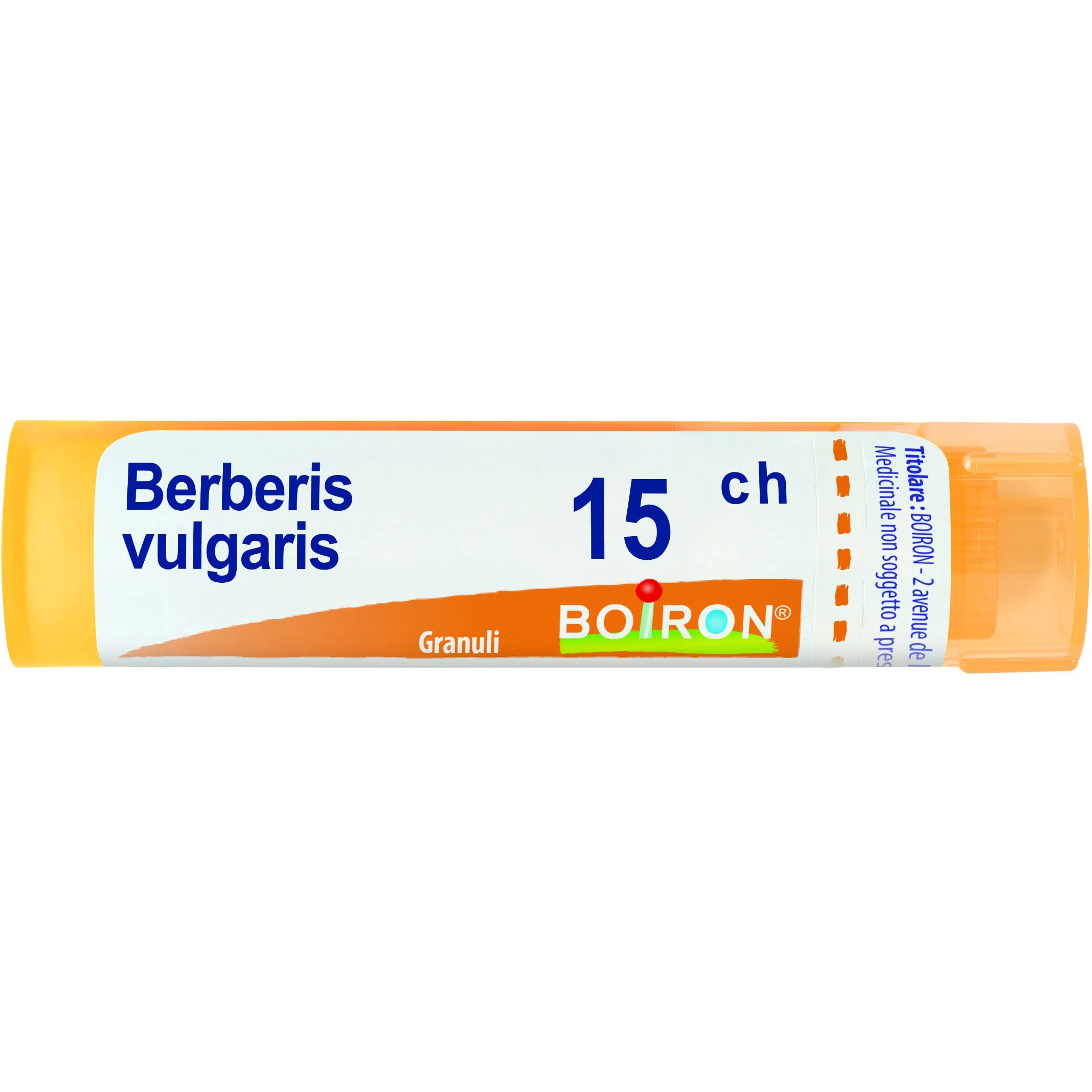 Berberis Vulgaris 15 Ch 80 Gr 4 G 