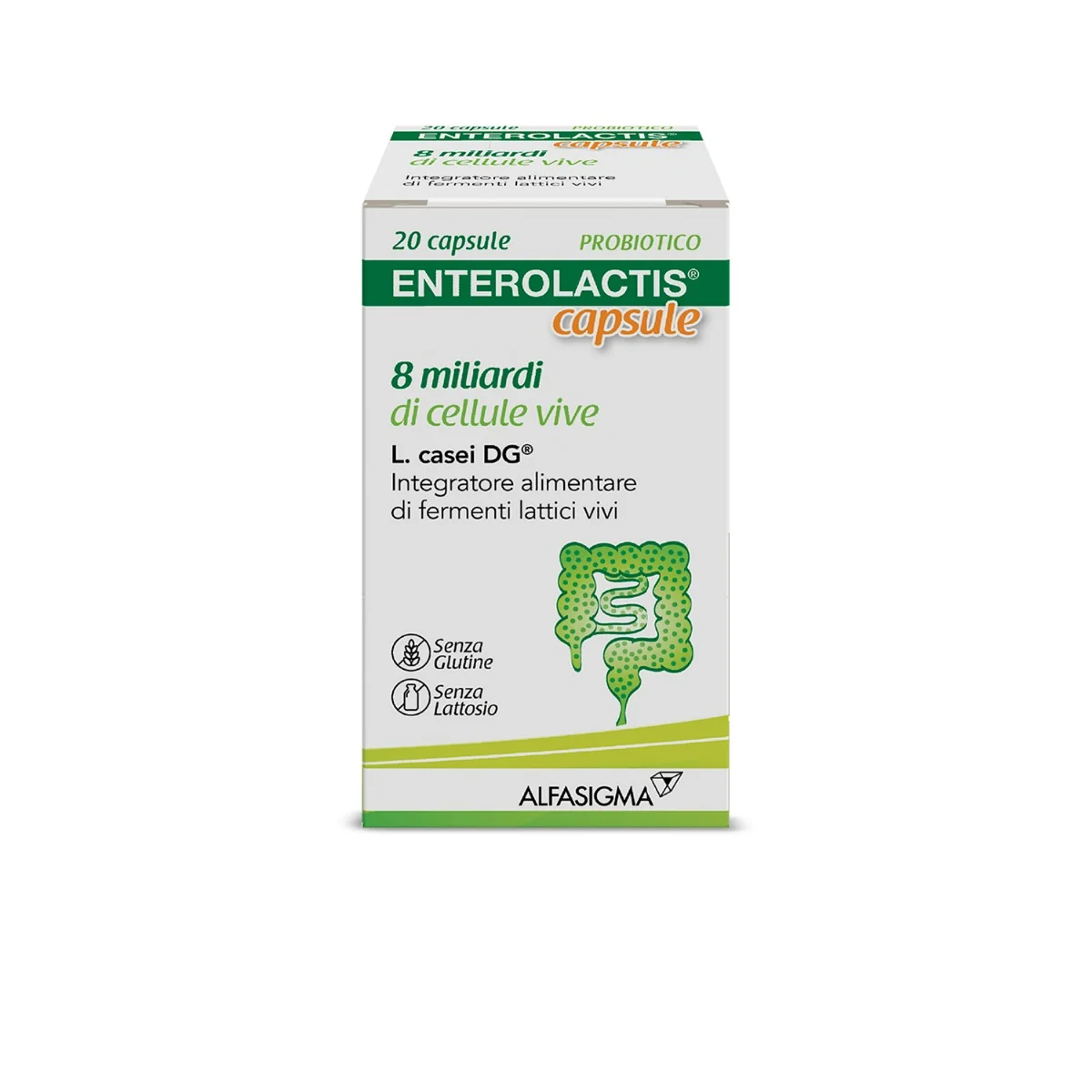 Enterolactis 20 Capsule 300Mg Integratore Fermenti Lattici Adulti Azione Probiotica