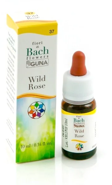 BACH FLOWERS NLS WILD ROSE 10ML