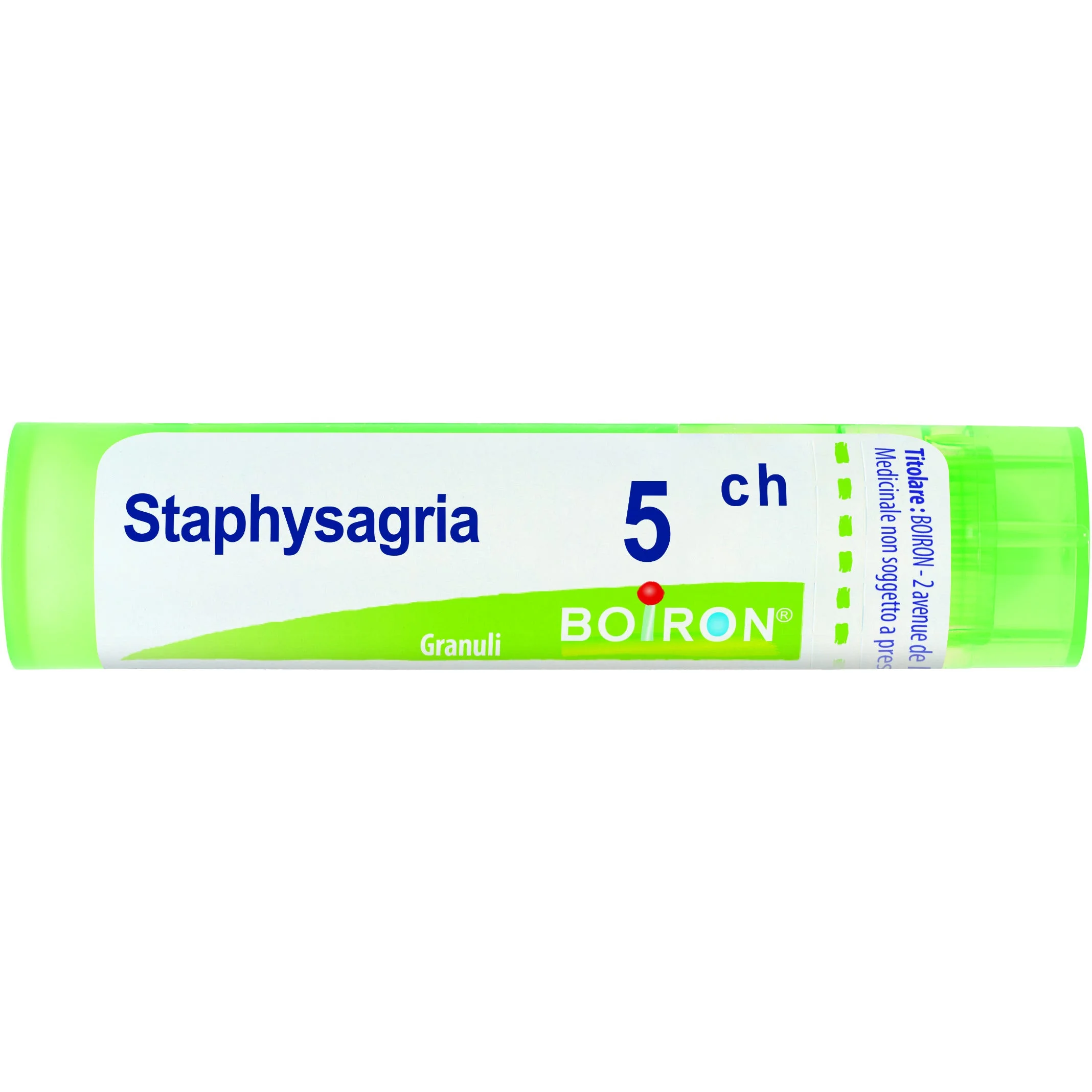 STAPHYSAGRIA*5CH 80GR 4G