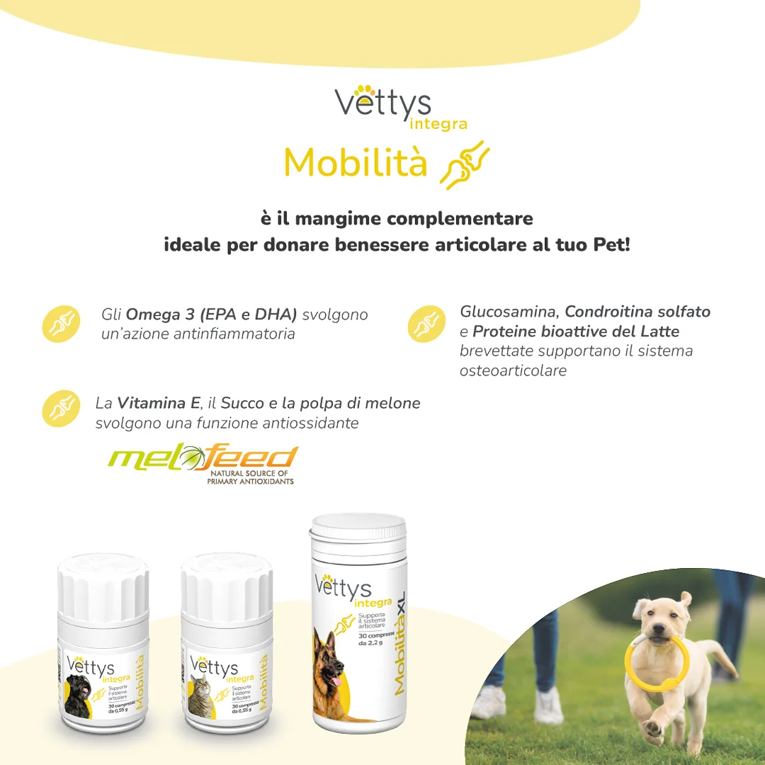 Vettys Integra Mobilita' Gatto 30 Compresse Mobilità del Gatto