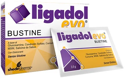 LIGADOL EVO INTEGRATORE PER LA CARTILAGINE 20 BUSTINE