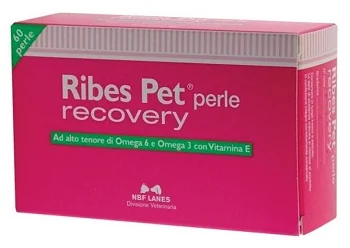 RIBES PET RECOVERY BLISTER 60 PERLE