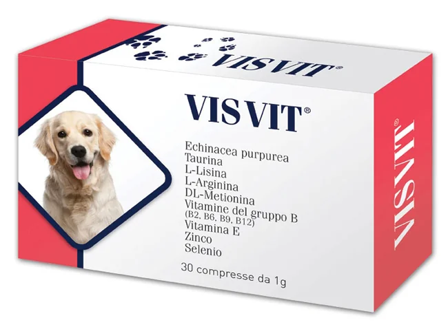 VISVIT 30 CAPSULE 1G