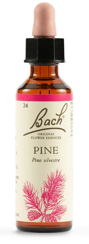 SCHWABE FIORI DI BACH 24 PINE GOCCE 20 ML