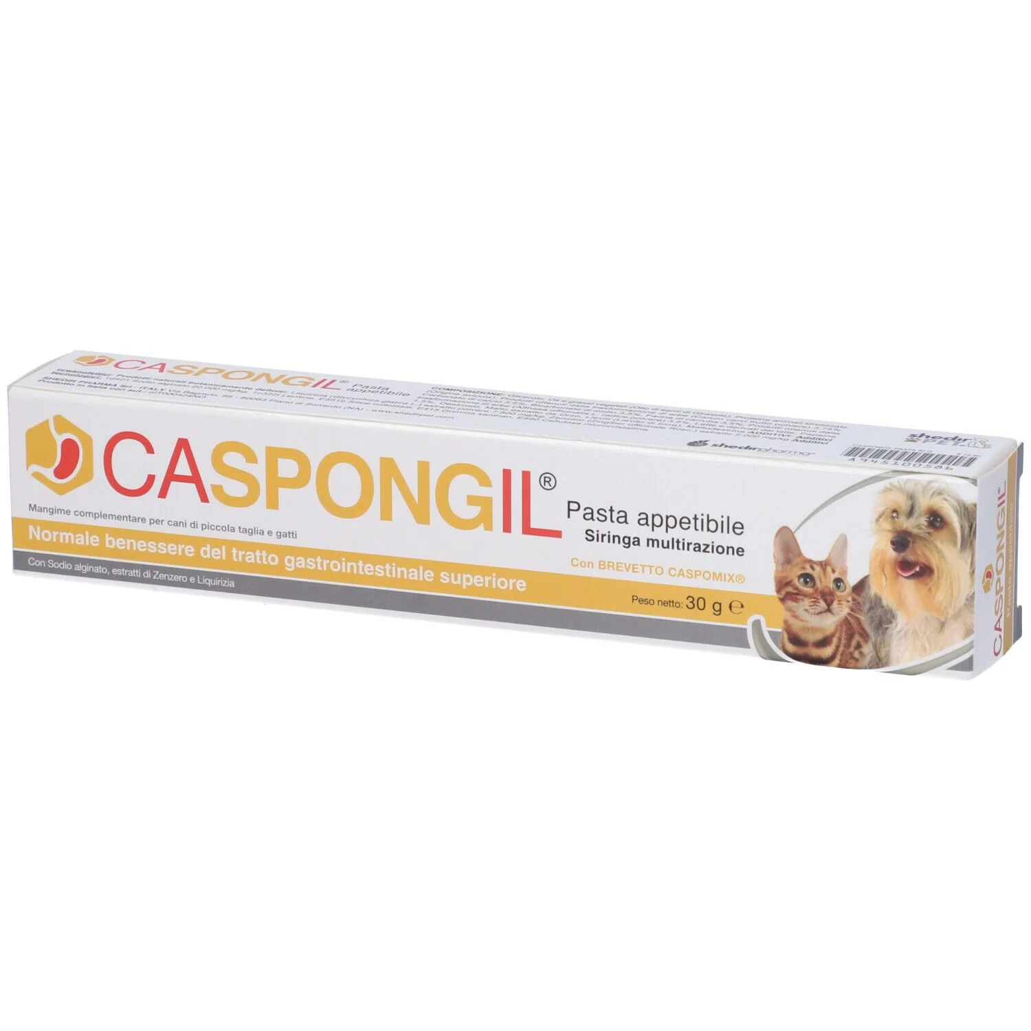 CASPONGIL PASTA 30G