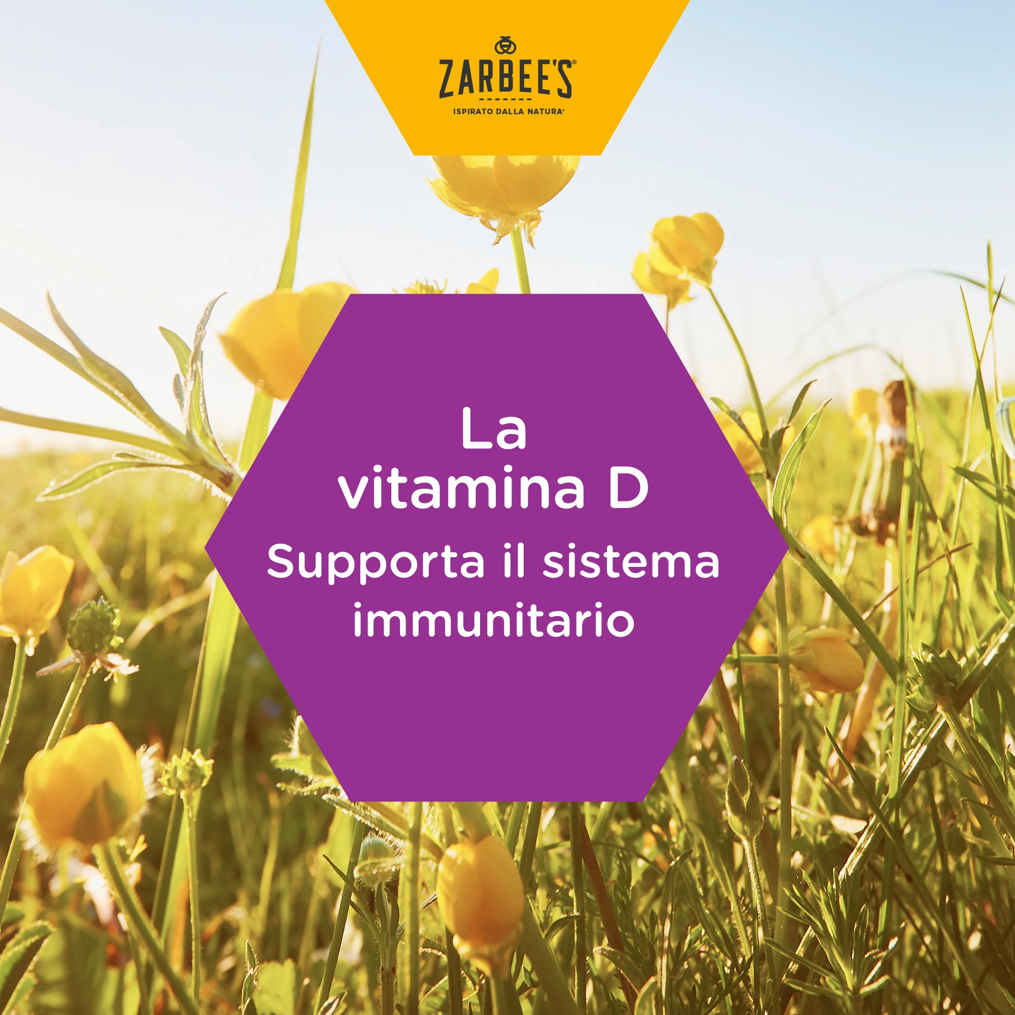 Zarbee's Difese Immunitarie Bambini Sciroppo 120 Ml Con Vitamina D