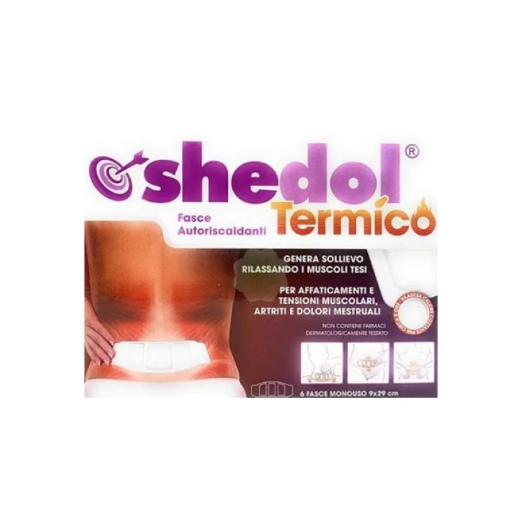 SHEDOL TERMICO CER 6PZ