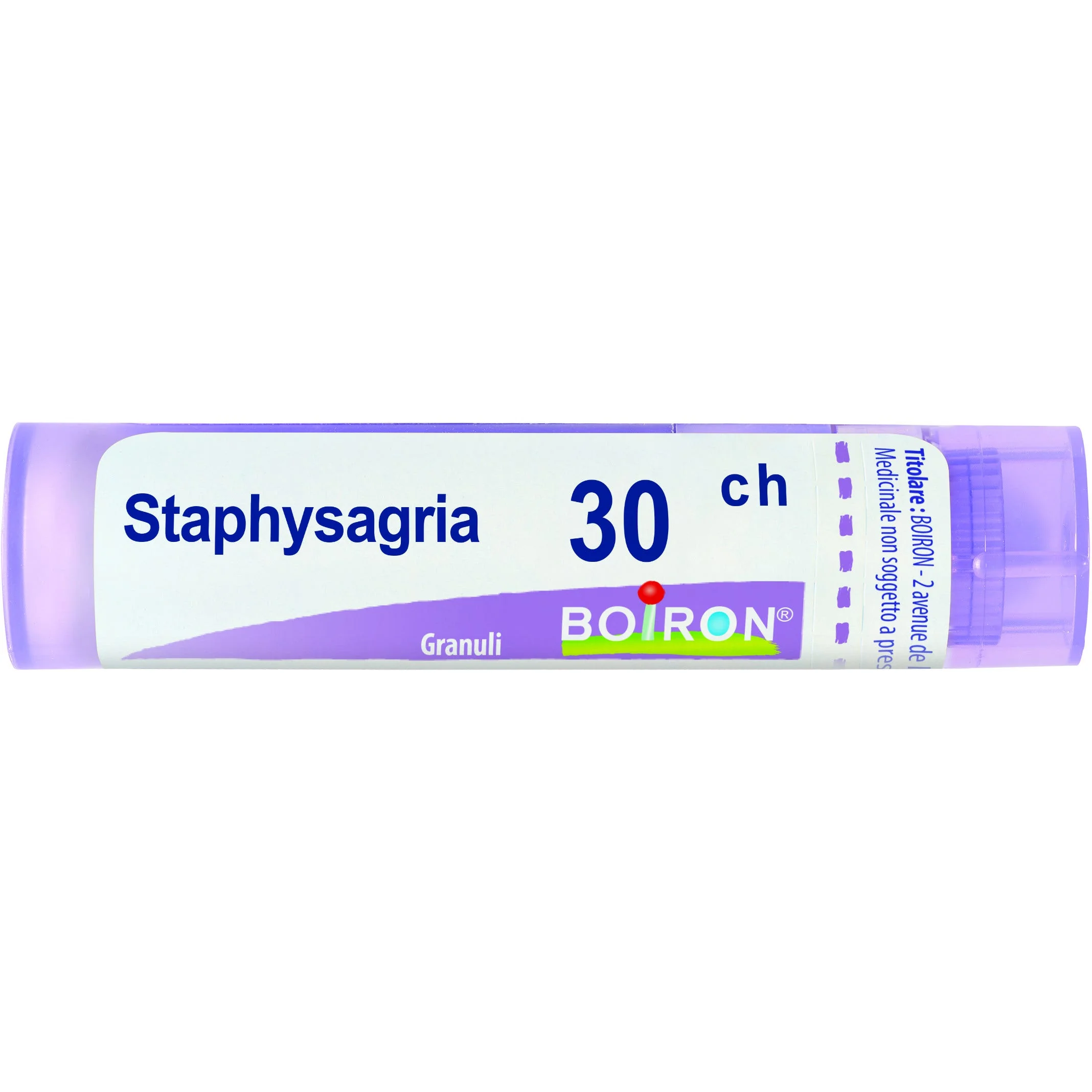 StaphysaGria 30 Ch 80 Gr 4 G 