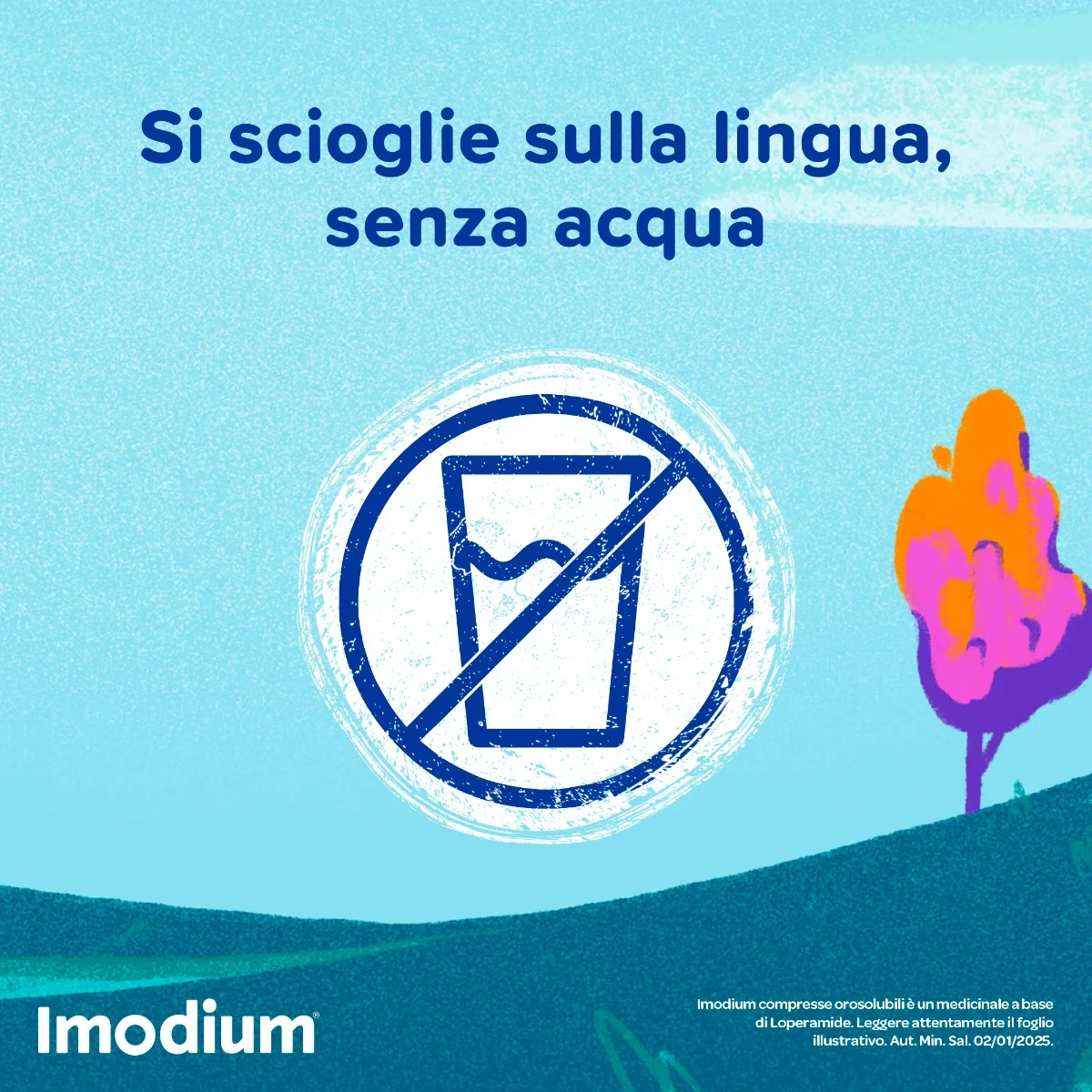 Imodium Diarrea Acuta 12 Compresse Orosolubili Per Intestino