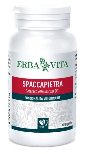 ERBA VITA SPACCAPIETRA INTEGRATORE FUNZIONALITÀ  VIE URINARIE 60 CAPSULE