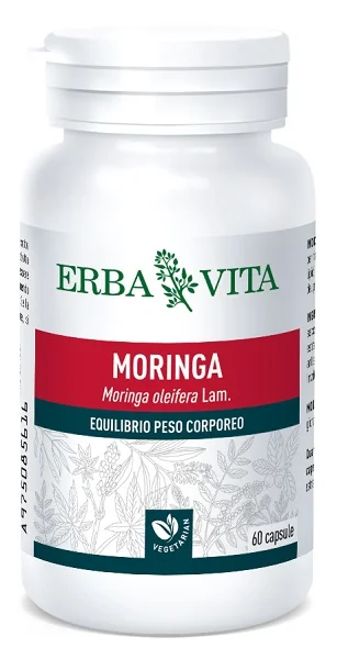 MORINGA EBV CAPS 60