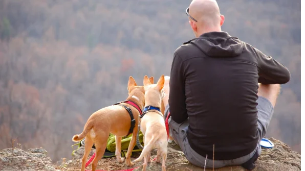 Allergie agli Animali Domestici: Da cosa dipendono e cosa si può fare?