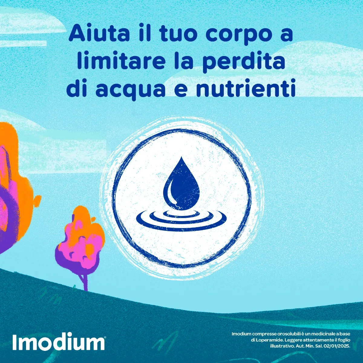 Imodium Diarrea Acuta 12 Compresse Orosolubili Per Intestino