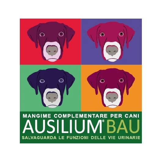 AUSILIUM BAU 300 G CON MISURINO