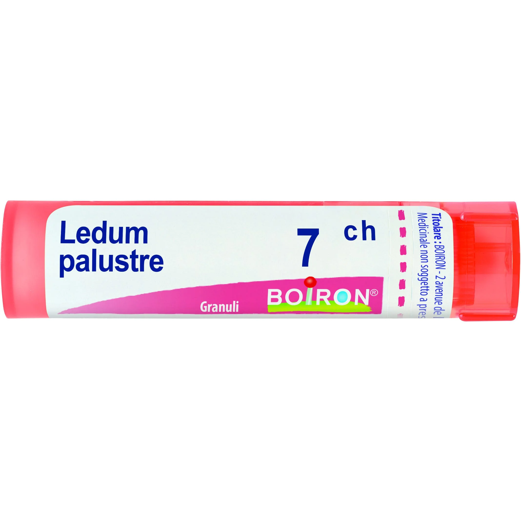 LEDUM PALUSTRE 7CH gr