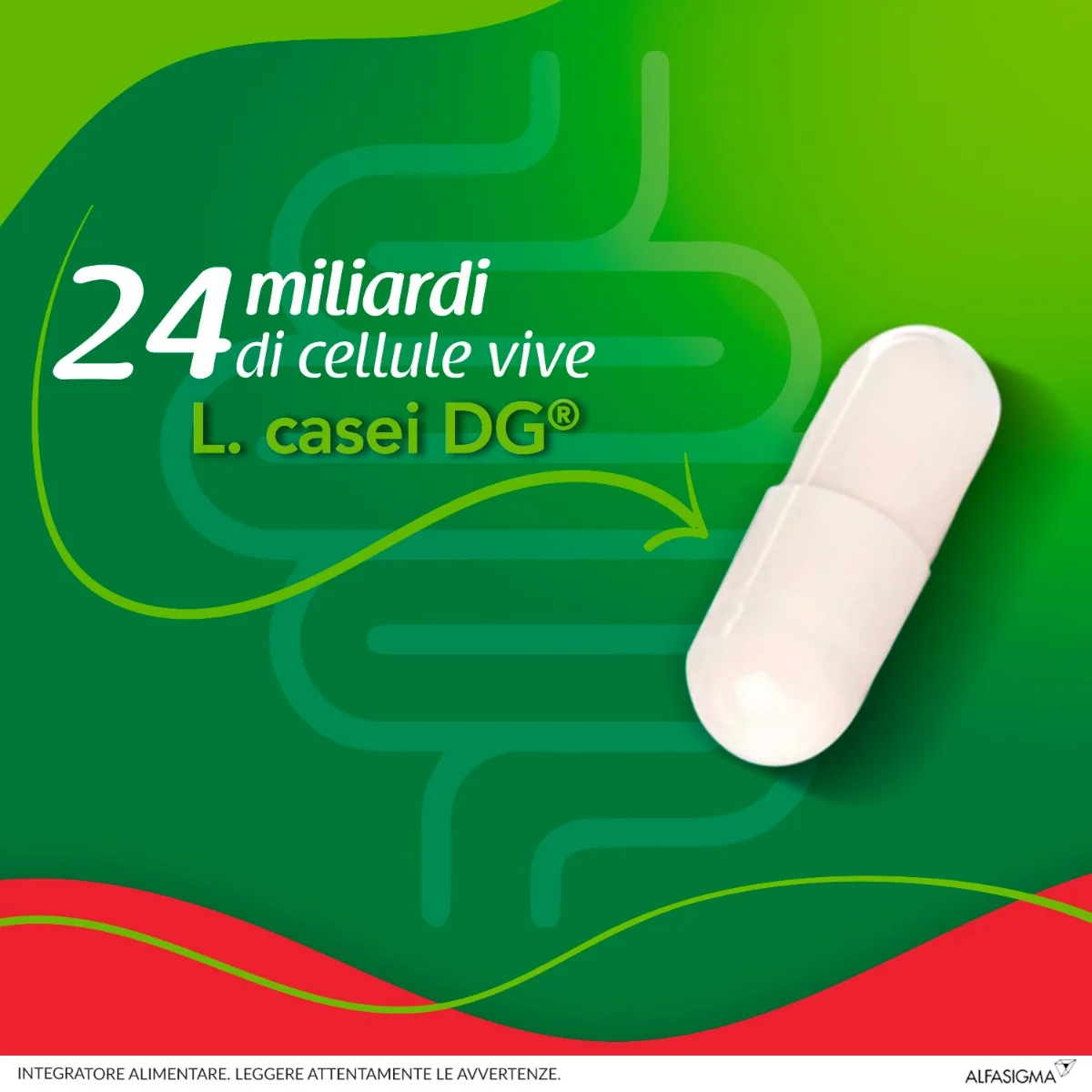 Enterolactis Plus 30 Capsule Integratore Fermenti Lattici