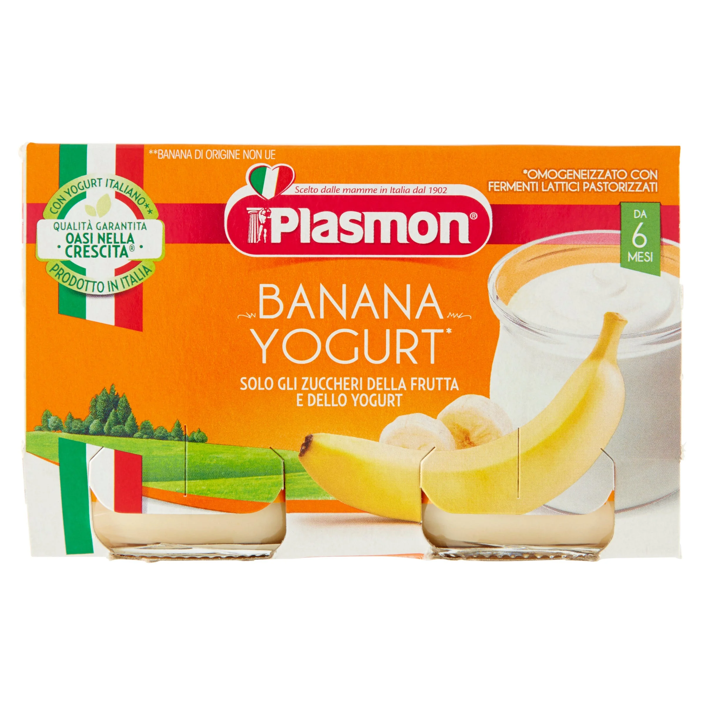 PLASMON OMOGENEIZZATO YOGURT/BANANA 120GX2 PZ