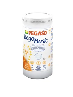 REGOBASIC POLVERE INTEGRATORE FUNZIONE MUSCOLARE 250 G