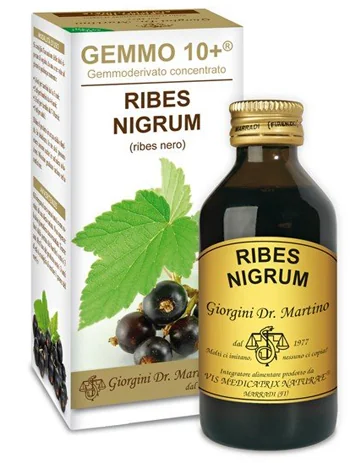 DR. GIORGINI GEMMO 10+ RIBES NERO ANALCOOLICO 100 ML